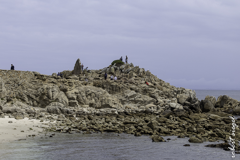 pacificgrove